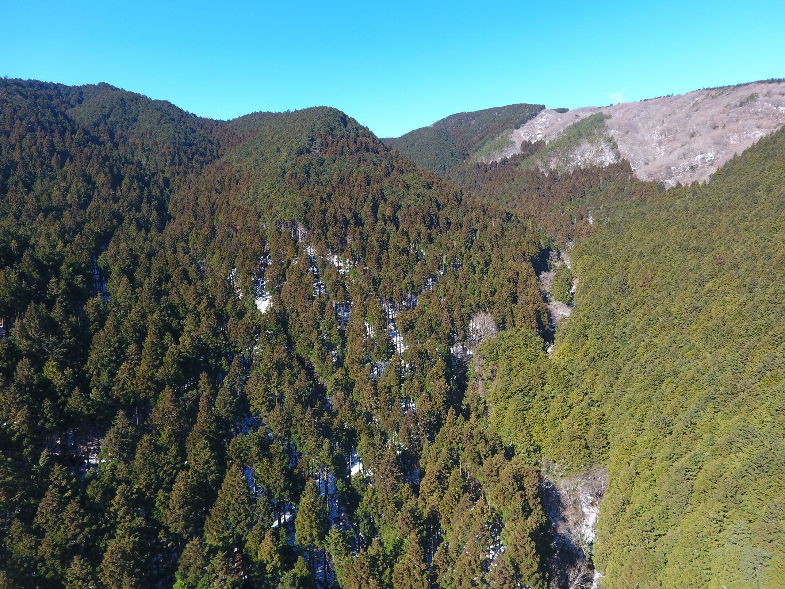 dji_0008.jpg